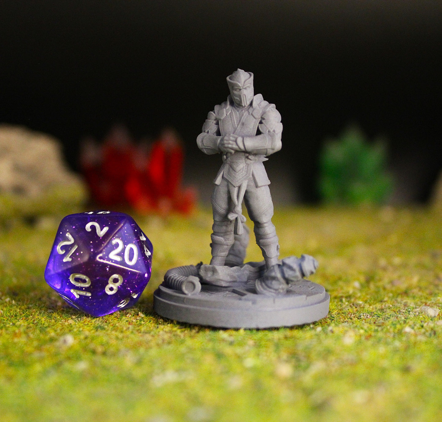 Frostborn Ninja