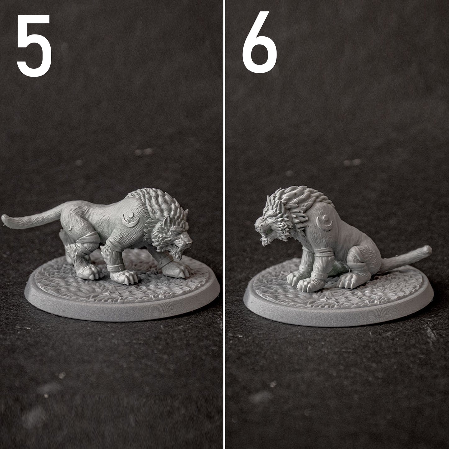 Druid Cat Form