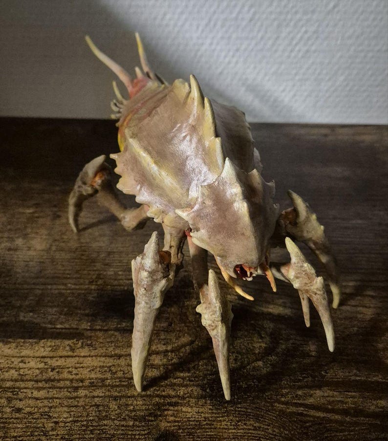Termite Termanid
