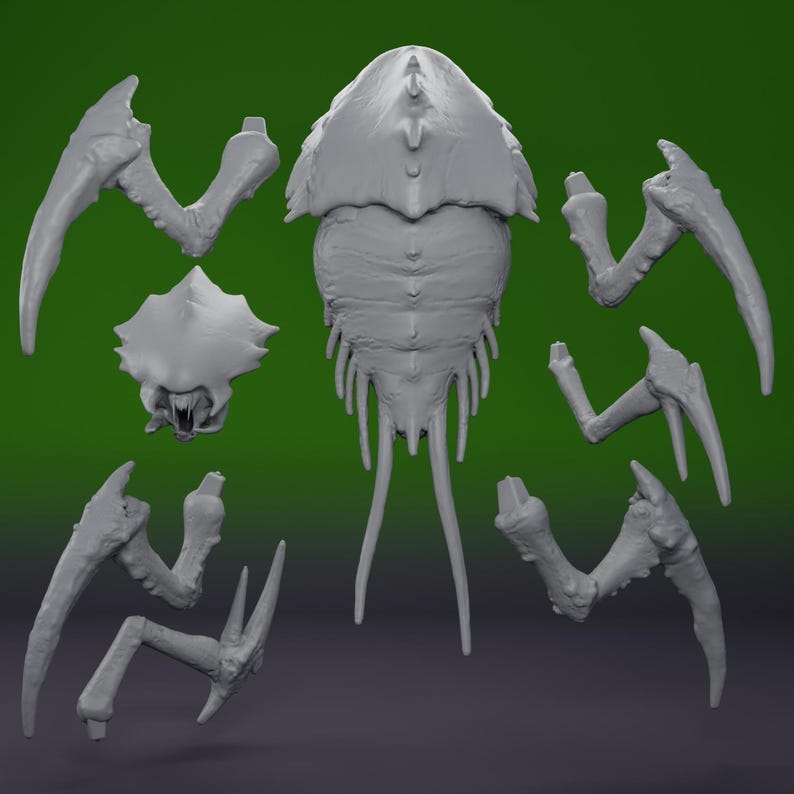Termite Termanid