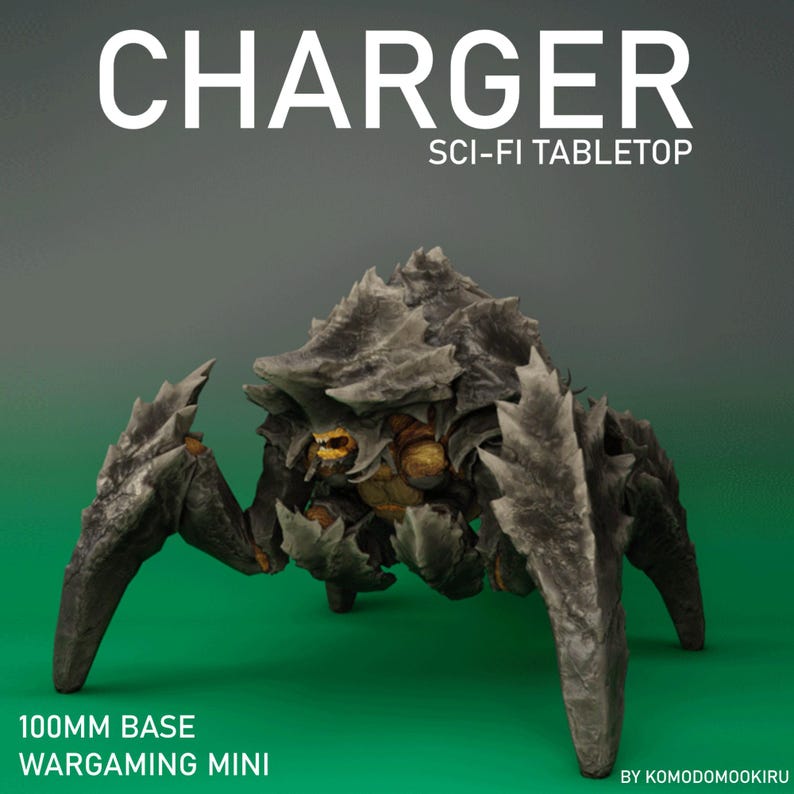 Charger Termanid