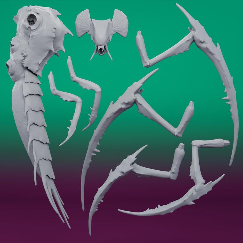 Shrieker Termanid