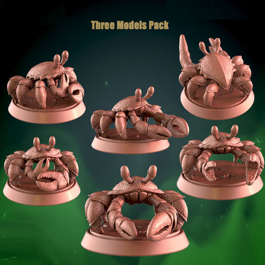 Surf Crawler Pack x3 32mm Base