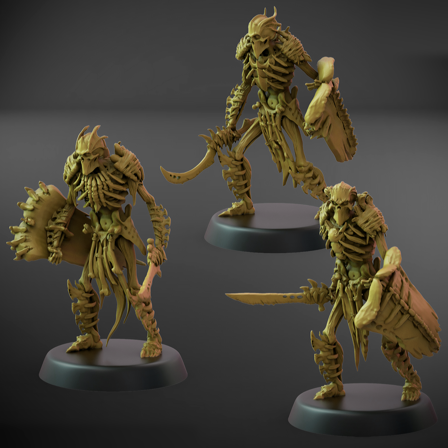 Boneguard Shield Set A (25mm Base)