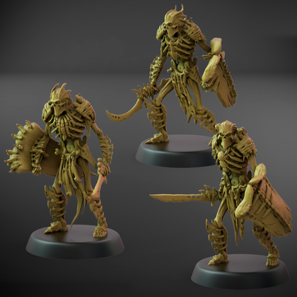 Boneguard Shield Set A (25mm Base)