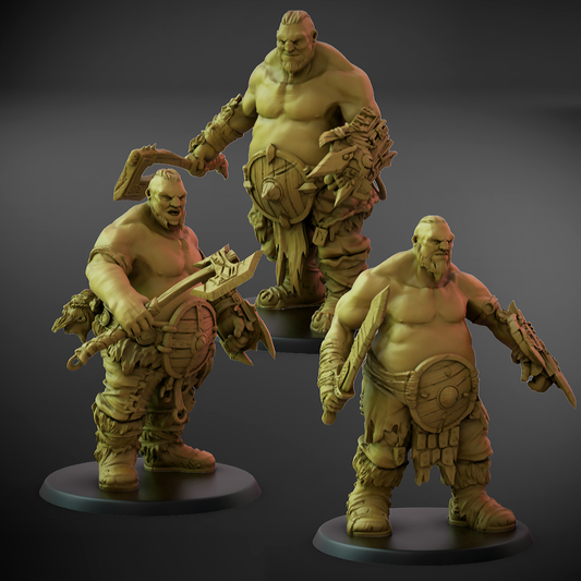 Hunger Sons Shield Set A (50mm Base)