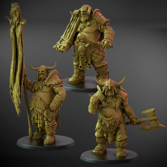 Valajar Chosen Leaders (50mm Base)