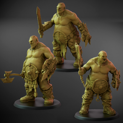 Hunger Sons Shield Set B (50mm Base)