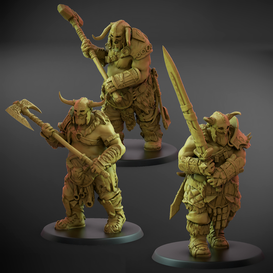 Valajar Chosen Set B (50mm Base)