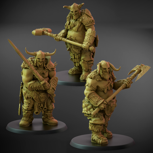 Valajar Chosen Set A (50mm Base)