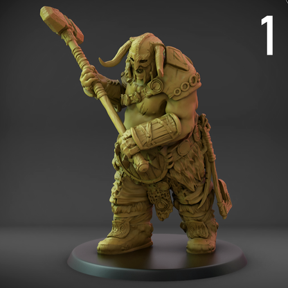 Valajar Chosen Set B (50mm Base)