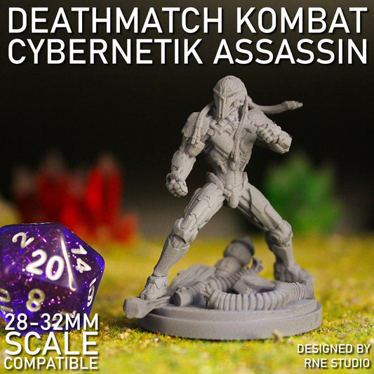 Cybernetik Assassin