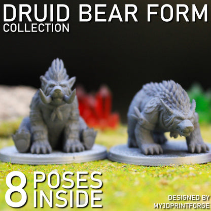 Druid Bear Form