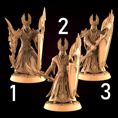 Sun Elf Guards