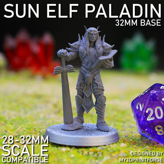 Sun Elf Paladin