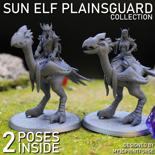 Sun Elf Plainsguard