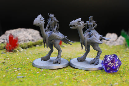 Sun Elf Plainsguard