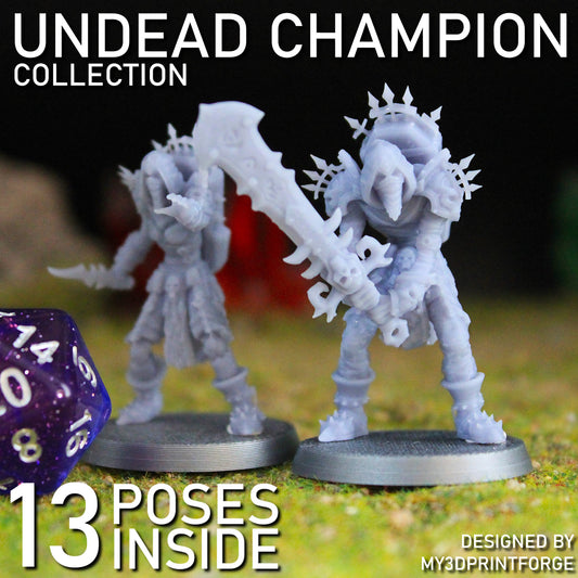 Undead Champion