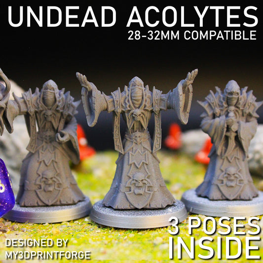 Undead Acolyte Miniatures