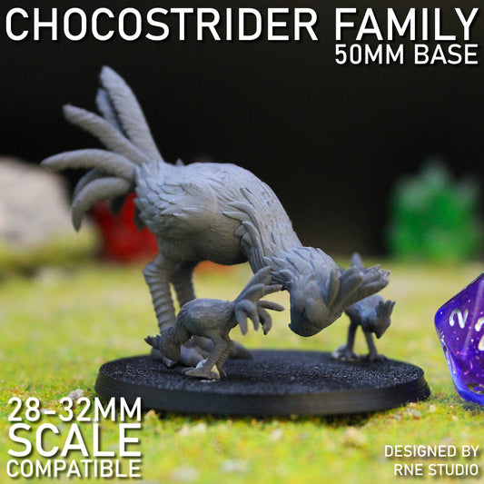 Chocostrider Family