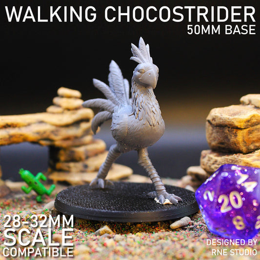 Walking Chocostrider