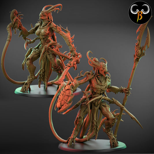 Arch Tenator (100mm Base)