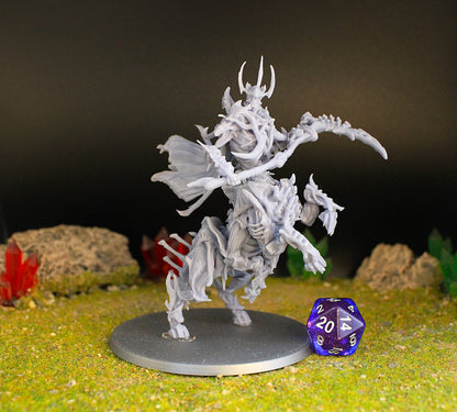 Blight Champion