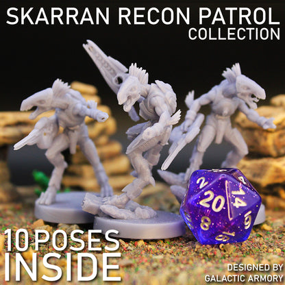 Skarran Recon Patrol