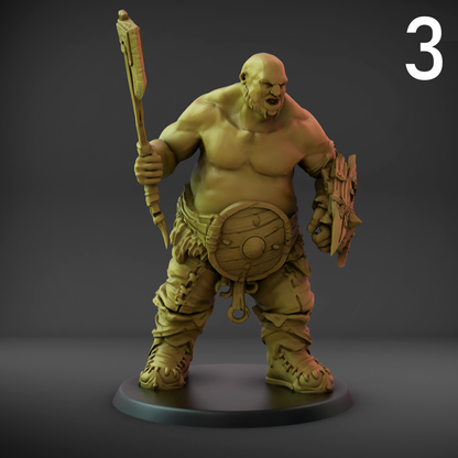 Hunger Sons Shield Set B (50mm Base)