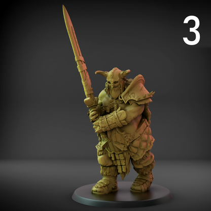 Valajar Chosen Set B (50mm Base)