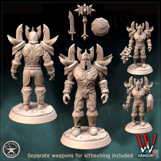 Human Paladin Tier 1 25mm Base Tabletop Wargaming Miniatures