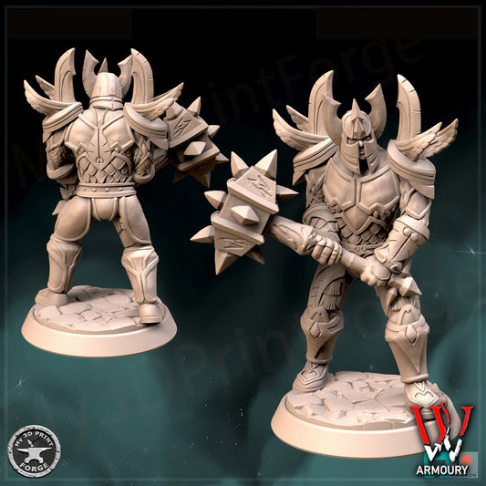 Human Paladin Tier 1 Hammer 25mm Base Tabletop Wargaming Miniatures
