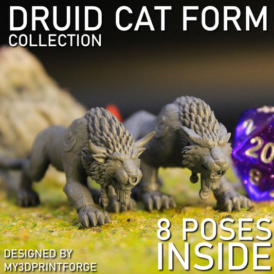 Druid Cat Form