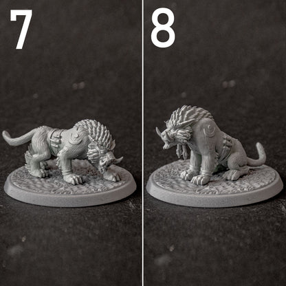 Druid Cat Form