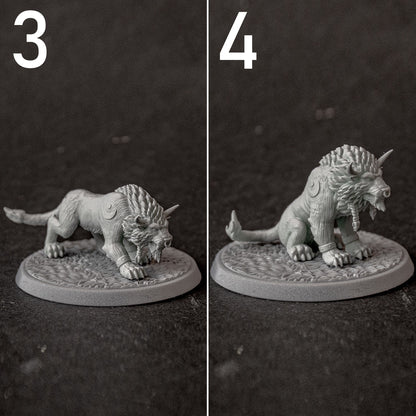 Druid Cat Form