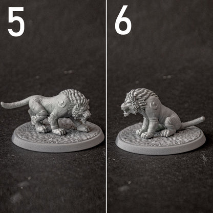 Druid Cat Form