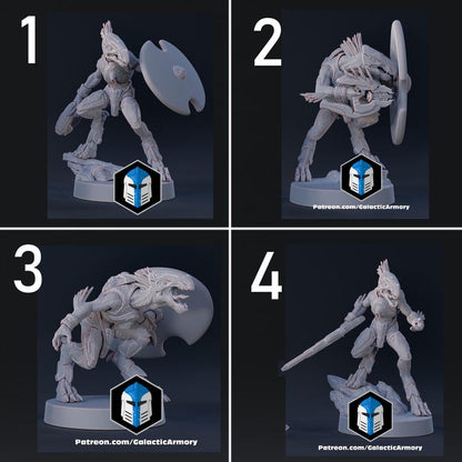 Skarran Recon Patrol