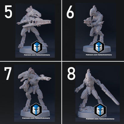 Skarran Recon Patrol