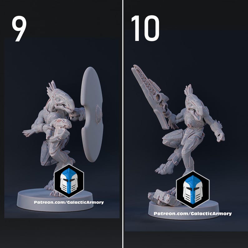 Skarran Recon Patrol