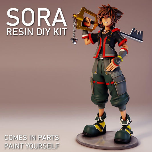 Sora Resin DIY Kit