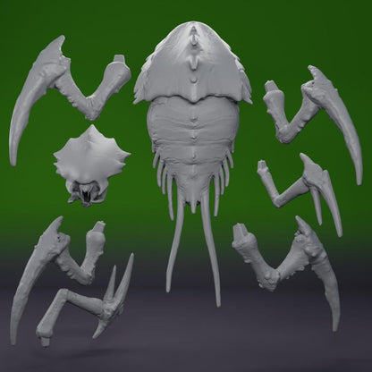 Termite Termanid