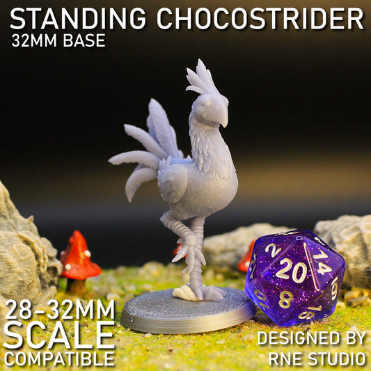 Standing Chocostrider