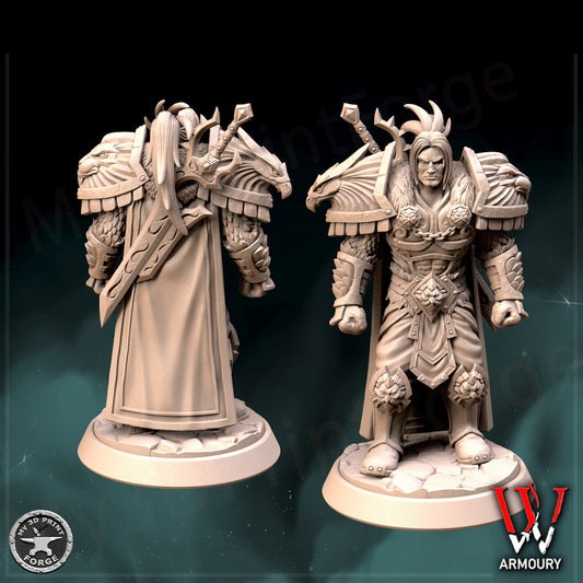 Varian Wrynn 28mm Base Tabletop Wargaming Miniatures